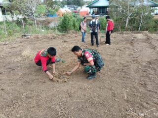 ​Sinergi Hijau, Babinsa Desa Lombo dan Kokam Sidrap Tanam 50 Bibit Alpukat